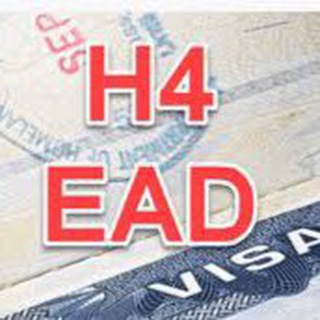 Telegram chat H4 & H4 EAD Indian immigrants logo