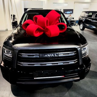 Telegram chat Haval H5 NEW logo