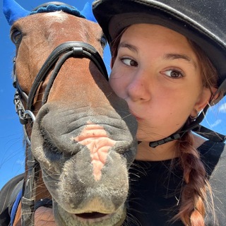 Логотип телеграм-чата horses_sivka — Чат Коноблог из фаворита🐎
