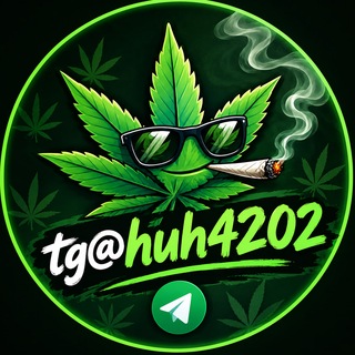 Logo of Telegram chat huh4202 — tg@huh4202🚀亞洲最大420大麻煩🌿交流telegram(tg)地下商品頻道