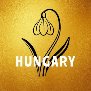 Telegram chat Hungary Угорщина Венгрия   Будапешт logo