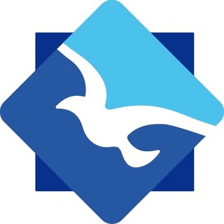 Telegram chat 海鸥-引流 数据 搭建 代收付 话机 logo