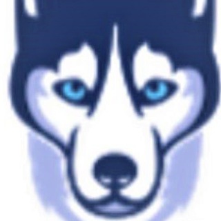 Telegram chat HUSKY BLO logo