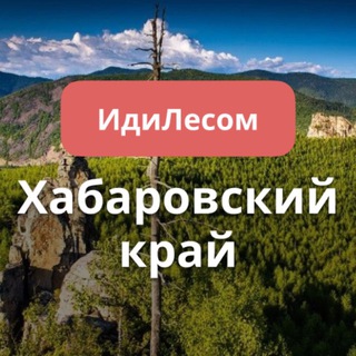 Telegram chat ИдиЛесом Хабаровский край путешествия logo
