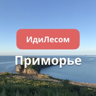 Telegram chat ИдиЛесом Приморье путешествия logo