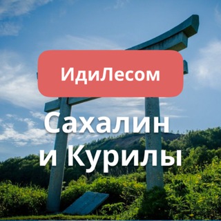 Telegram chat ИдиЛесом Сахалин и Курилы путешествия logo
