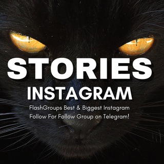 Telegram chat Instagram Story Views logo