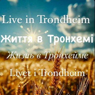 Telegram chat Live in Trondheim ( Тронхейм ) logo