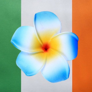 Telegram chat 🇨🇮🇺🇦Украинцы в Ирландии Дублине Корк Бандоране logo