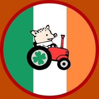 Telegram chat Ирландия logo