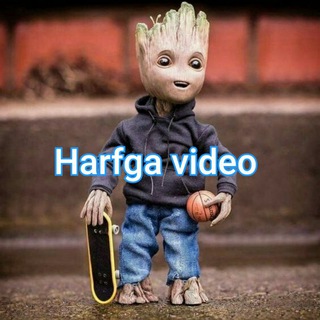 Telegram chat Harfga video logo
