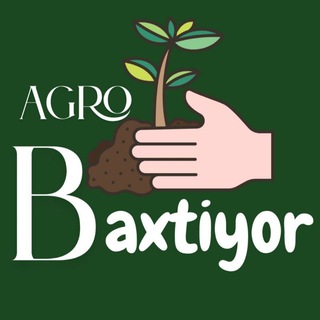 Telegram chat 🍅Pоmidor 🥒Bodring | Agrotexnikasi 911190866 logo