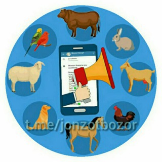 Telegram chat Жонзот Бозор logo
