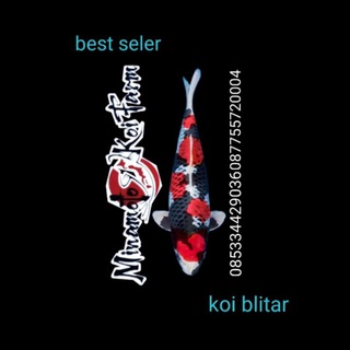 Telegram chat Jual Ikan Koi Blitar logo