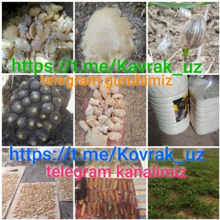 Telegram chat KAVRAK, KOVRAK, КАВРАК, КОВРАК! O‘zbekiston! Донак, шира, холва, силт... ФЕРУЛА, HING ASAFOETIDA logo