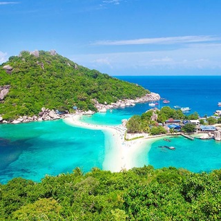 Telegram chat Koh Tao logo