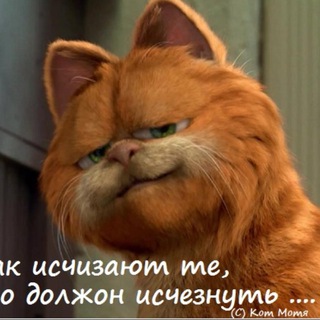 Telegram chat Кот Мотя Chat logo
