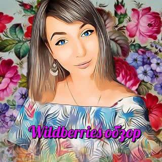 Telegram chat Lady_wildberri logo