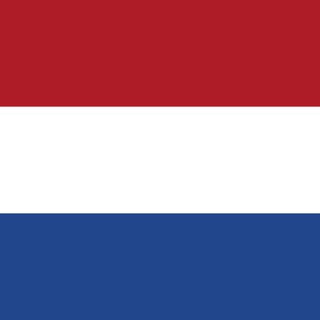 Telegram chat Nederlands leren — Учим нидерландский logo