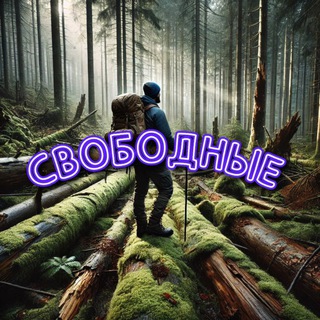 Telegram chat СВОБОДНЫЕ_EU logo