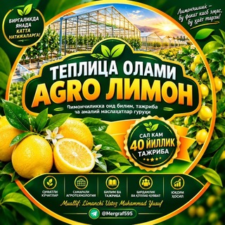 Telegram chat ТЕПЛИЦА ОЛАМИ AGRO🍋 LIMON logo