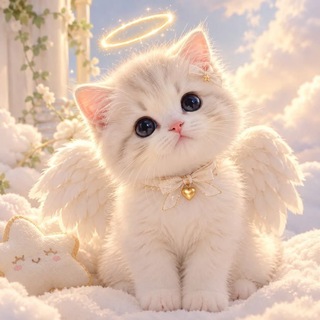 Telegram chat ✨ 𝗨𝗻𝗶𝗾𝘂𝗲 𝗪𝗼𝗿𝗹𝗱 ✨ logo