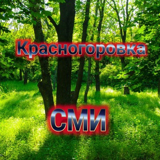 Telegram chat Красногоровка СМИ 🇷🇺 logo
