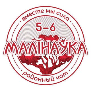 Telegram chat ЧАТ Малиновка 5/6 logo