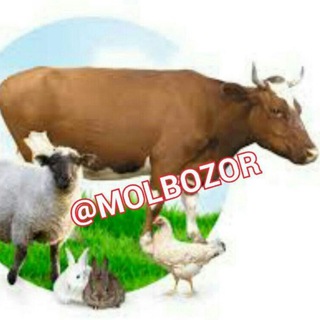 🐂🐃MANGIT MOL 🐂🐃 BOZOR🐏🐑 VA EM HASHAK MAHSULATLARI - Telegram Groups