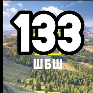 Telegram chat 133 МАРШРУТ | ЧАТ 🚌 logo