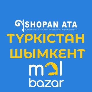 Telegram chat 13 | Шопан Ата (Түркістан/Шымкент) logo