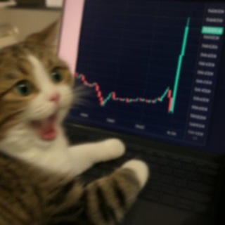 Telegram chat Meo Meo Trading 🐱 logo
