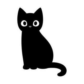 Telegram chat 【猫七七】 logo