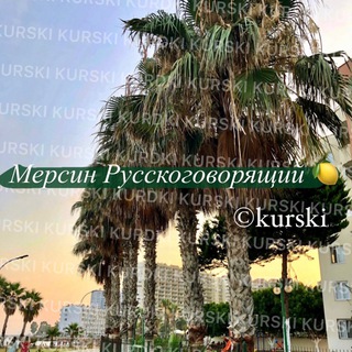 Telegram chat Мерсин Русскоговорящий 🍋 | Mersin chatik logo
