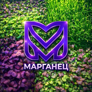 Telegram chat МИКРОЗЕЛЕНЬ МАРГАНЕЦ - ЛОГИКА РОСТА logo