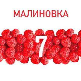 Telegram chat Малиновка 7 logo
