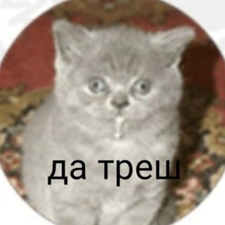 Telegram chat Лунный свет - кринж logo