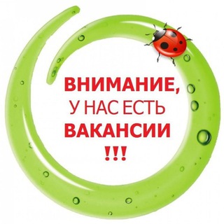 Telegram chat Внимание! Работа Подработка Реклама Чат Халтура Спб Жумуш Москва Общепит logo