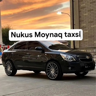 Telegram chat Moynaq Nokis taksisler logo