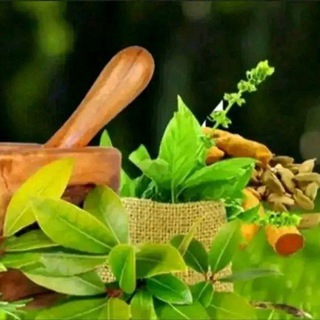 መርጌታ መንግስቱ የባህል መድሀኒት መስጫ ማዕከል - Telegram Groups