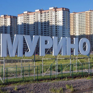 Telegram chat Мурино logo