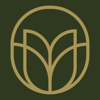 Telegram chat MUNIVAR logo
