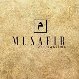 Telegram chat MUSAFIR logo