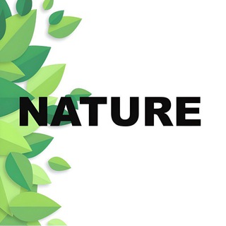 Telegram chat Nature | Подгузники logo
