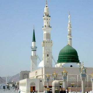 Telegram chat Saudiya Arabistoniga rasmiy Umra safari logo