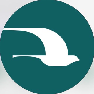 Telegram chat MUSAFFO TURIZM | UMRA logo