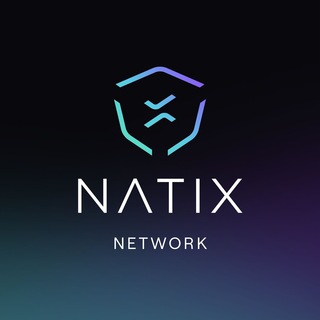 Telegram chat NATIX Network logo