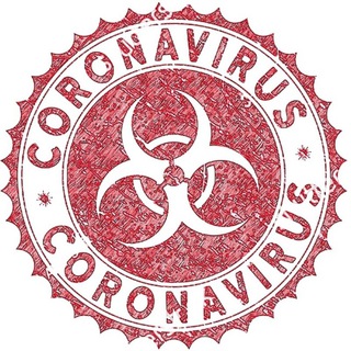Telegram chat Coronavirus [Russia] logo