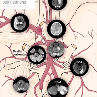 Neurology Top Books - Telegram Groups
