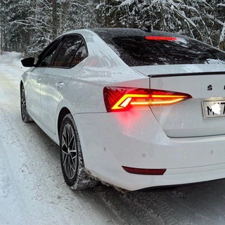 Telegram chat Skoda Octavia A8 Октавия logo